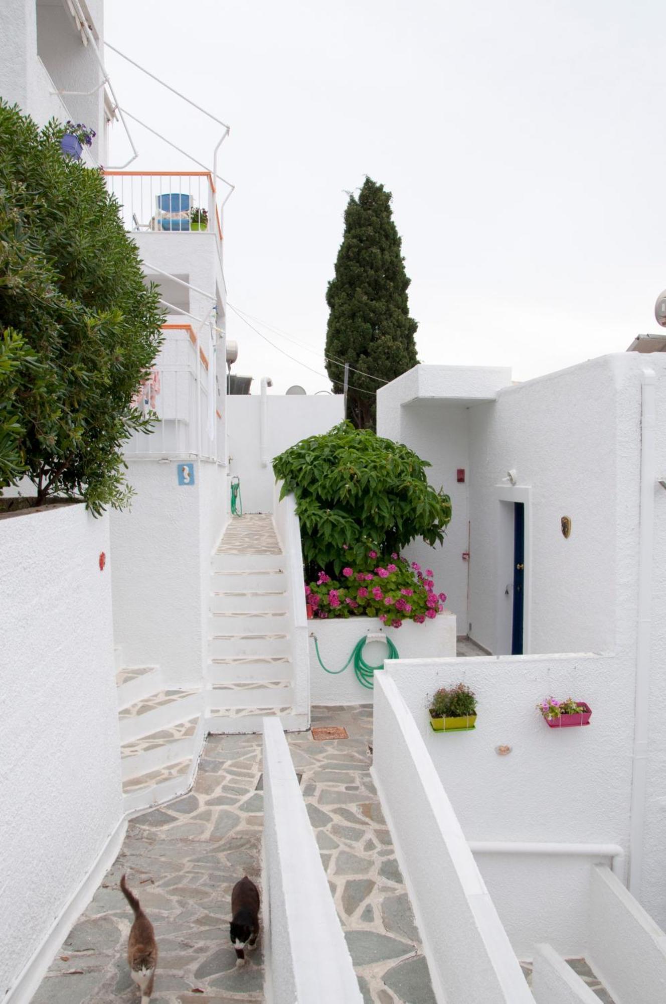 Tatsis Apartments Masouri Eksteriør billede