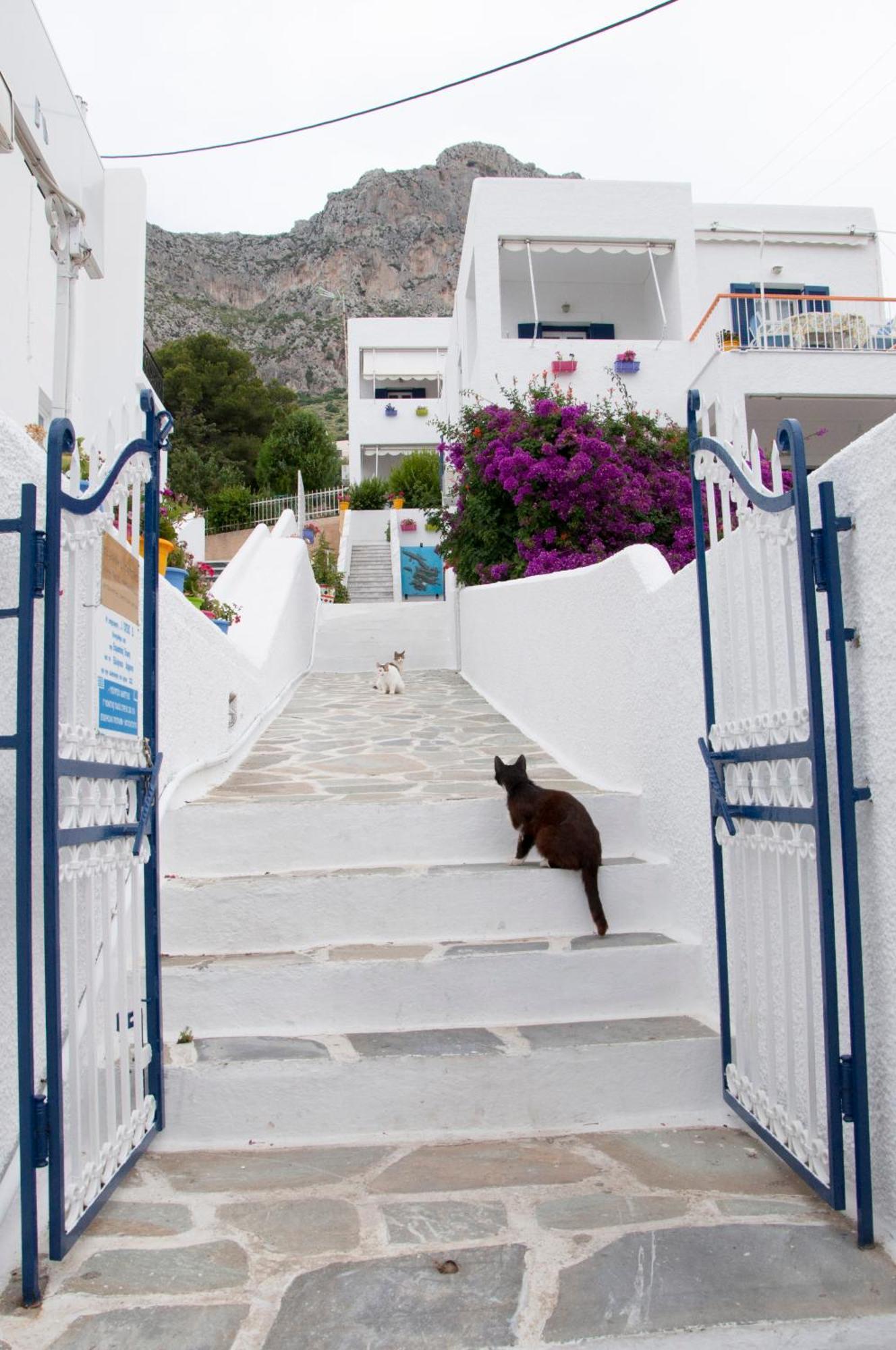 Tatsis Apartments Masouri Eksteriør billede