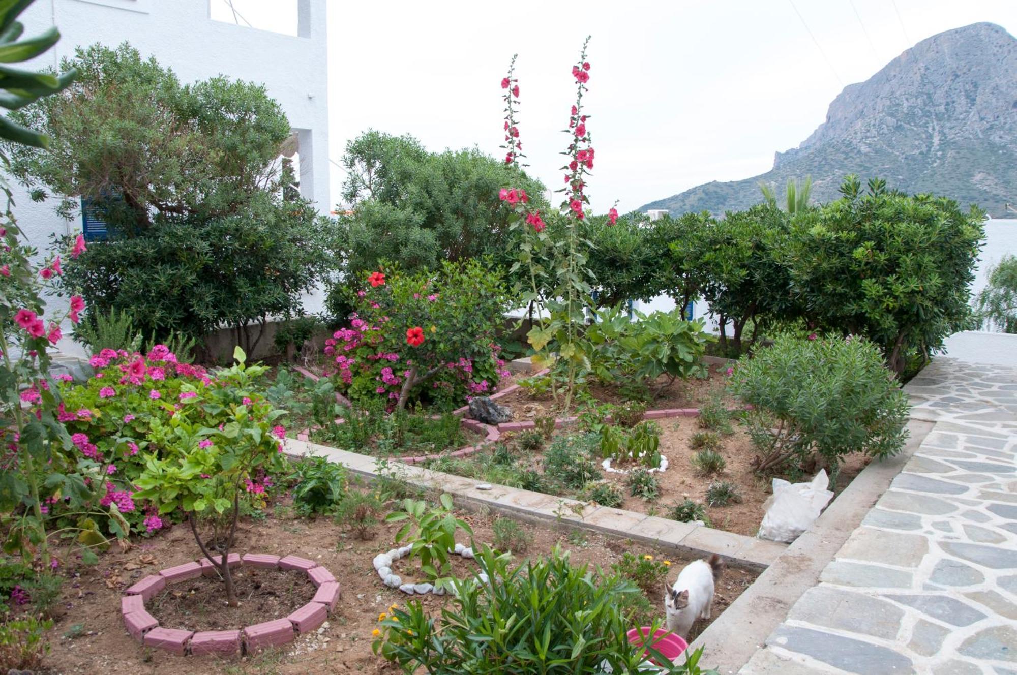 Tatsis Apartments Masouri Eksteriør billede