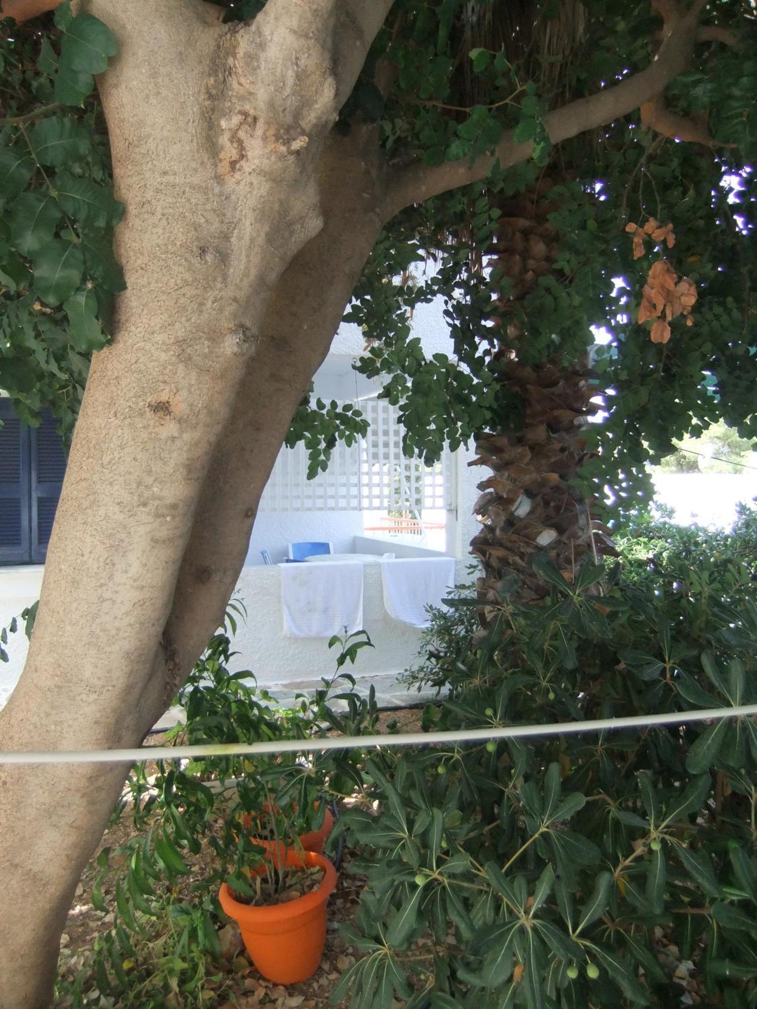 Tatsis Apartments Masouri Værelse billede