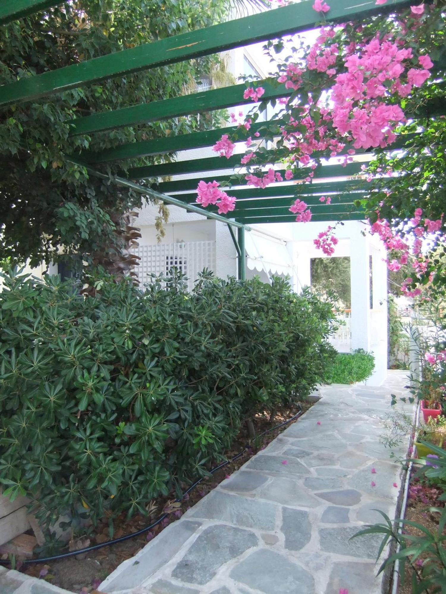 Tatsis Apartments Masouri Værelse billede