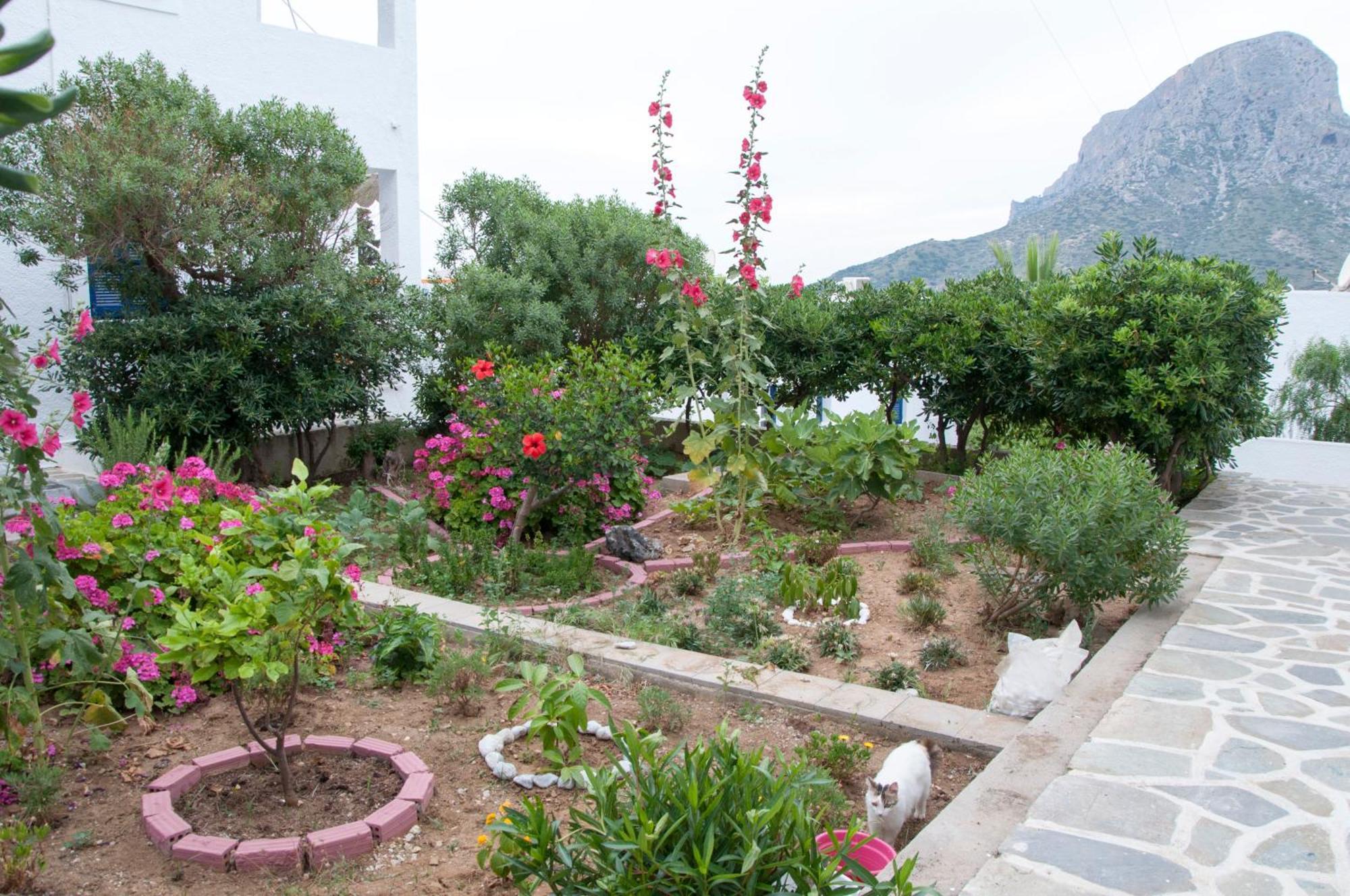 Tatsis Apartments Masouri Værelse billede